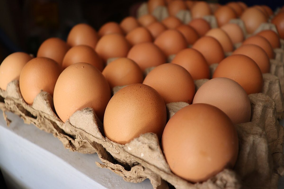 A tray of brown eggs in a cardboard carton